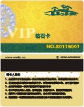 ̺һVIPʯģ