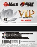 ǼVIP׽ģ