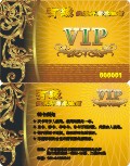 Ե׺VIP